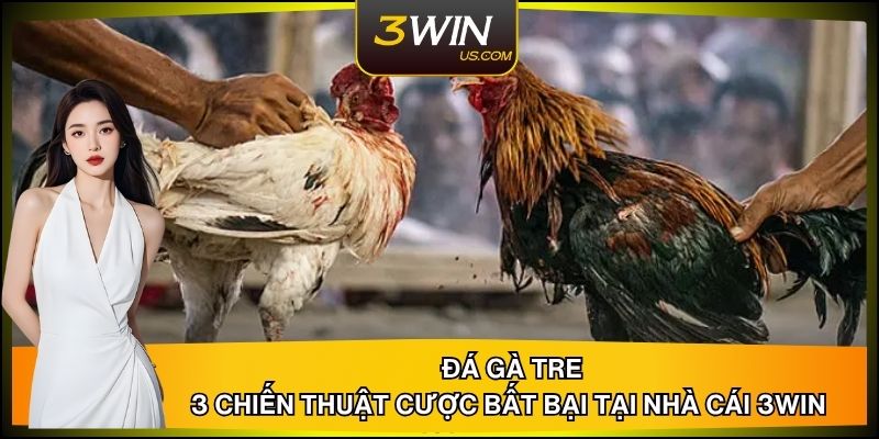 3 Chiến Thuật Cược Đá Gà Tre Bất Bại Tại Nhà Cái 3WIN